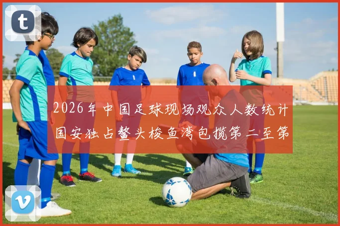 2026年中国足球现场观众人数统计国安独占鳌头梭鱼湾包揽第二至第七位