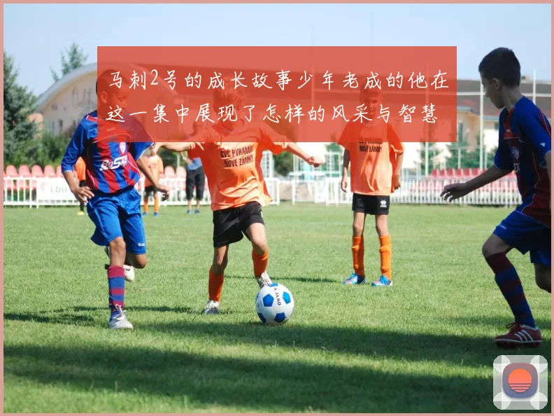 马刺2号的成长故事少年老成的他在这一集中展现了怎样的风采与智慧