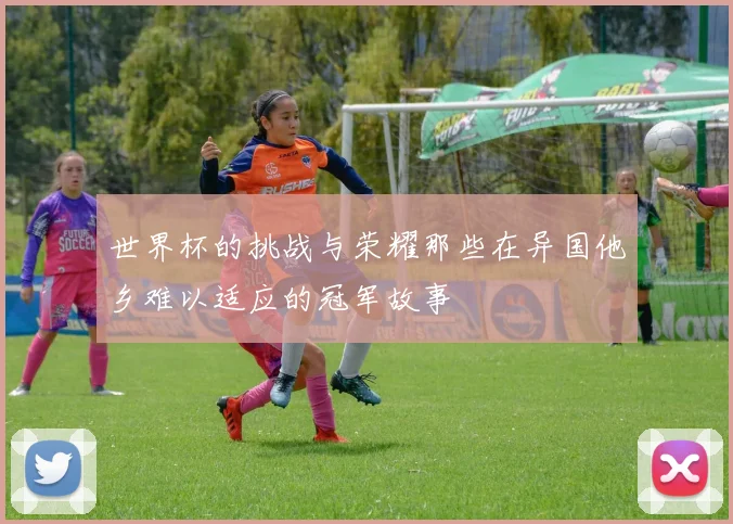 世界杯的挑战与荣耀那些在异国他乡难以适应的冠军故事