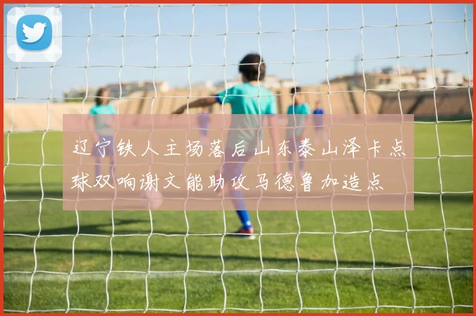 辽宁铁人主场落后山东泰山泽卡点球双响谢文能助攻马德鲁加造点