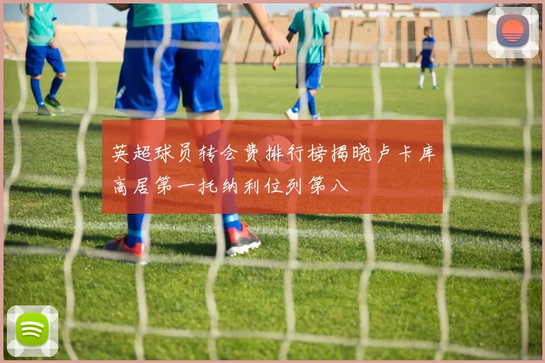 英超球员转会费排行榜揭晓卢卡库高居第一托纳利位列第八